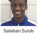 Saleban Sulub